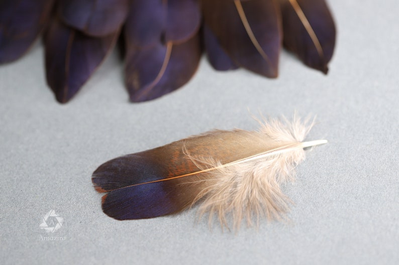 Plumes de faisan irisées bleu violet naturel, livraison gratuite disponible, 5-7 cm, 2-3 pouces, fournitures de bricolage, décoration, boucles d'oreilles image 4