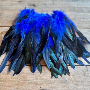 May include: A bunch of black and blue feathers with iridescent green tips. The feathers are arranged in a fan shape.