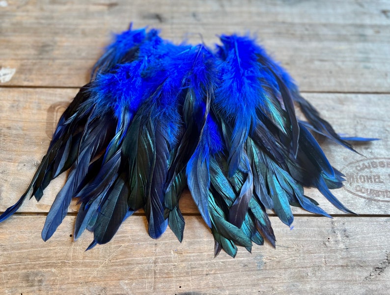 May include: A bunch of black and blue feathers with iridescent green tips. The feathers are arranged in a fan shape.