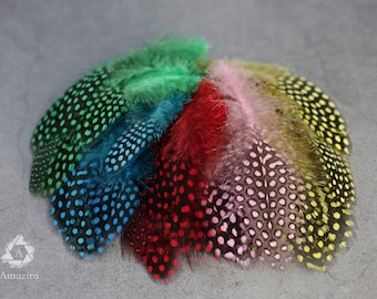 600 Feathers! CLEARANCE LAST CHANCE! Unique Colourful Polkadot Guinea fowl Feathers, 3-4", 7-10 cm, Real loose feathers crafters, hats