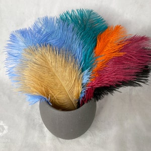 Ostrich Feathers, 10 Pieces 20-28 Red Ostrich Feather Spads Craft Wedding  Centerpiece Supply : 3686 