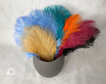 100 plumes ! LIQUIDATION DERNIÈRE CHANCE ! Petites plumes d'autruche, 7-10 pouces, 15-25 cm, artisanat, décoration de mariage, accessoires artisanaux, Table