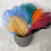 see more listings in the Loose Feathers section