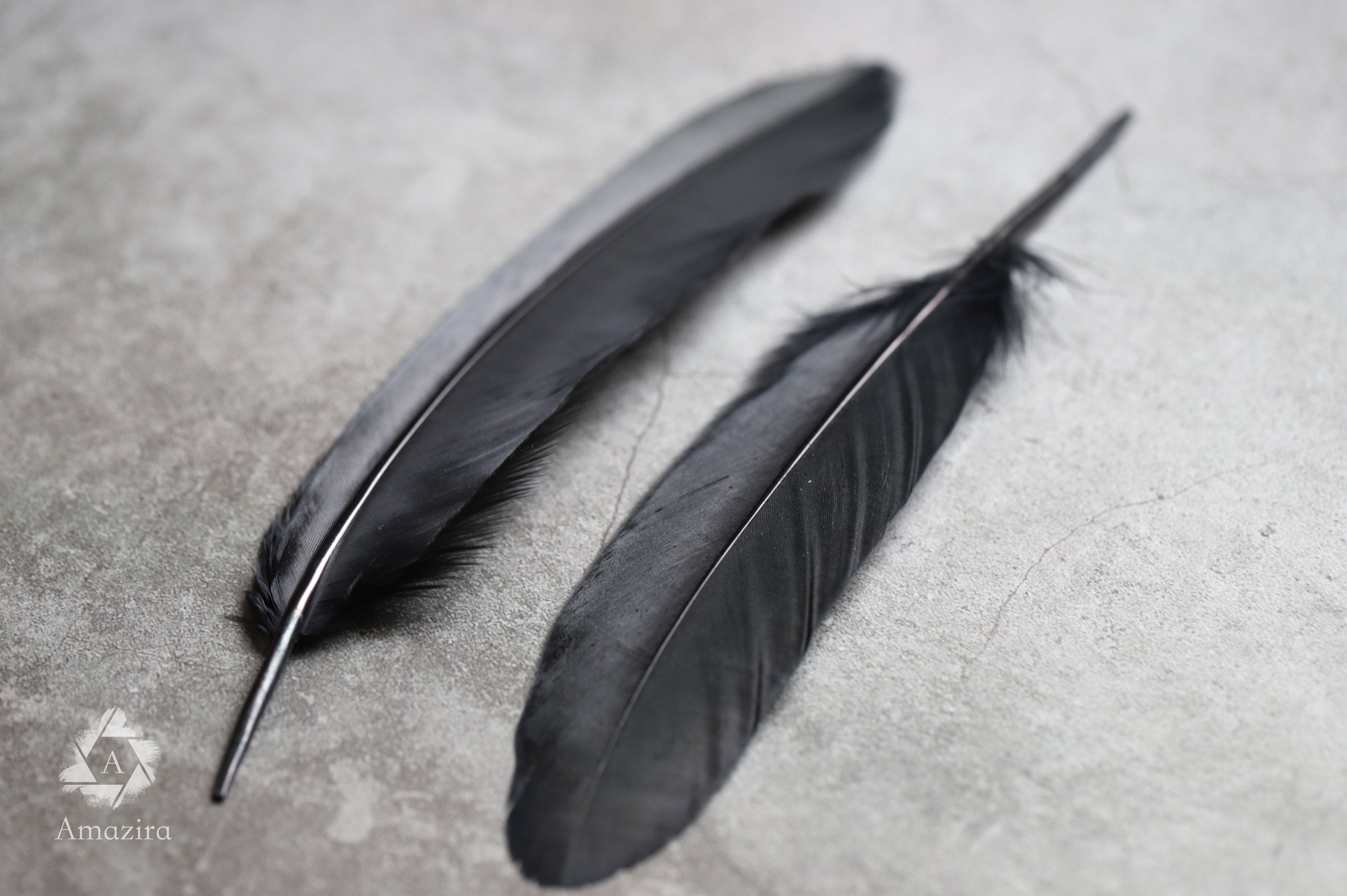 Large black feathers FREE SHIPPING available 6 to 7 inches Etsy