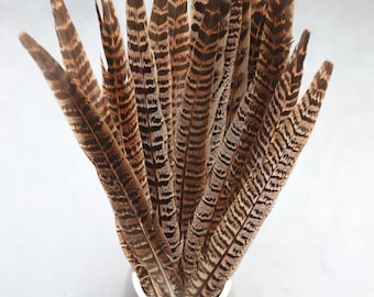 Plumas largas de faisán rayadas de color marrón, de 18 a 20 cm (7-8 pulgadas), envío GRATIS disponible, perfectas para decoración, tocados y cosplay.