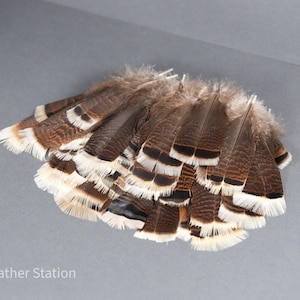 Plumas grandes de cola de pavo, plumas de ahumar, 13-18 cm, 5-8 pulgadas, decoración para jarrones, atrapasueños, tocados, cosplay, suministros de arte para manualidades imagen 5