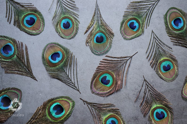 7-10 cm FREE SHIPPING available 4-5\u201d Loose feathers Natural colourful Iridescent Green and gold Peacock Plumage Peacock feathers