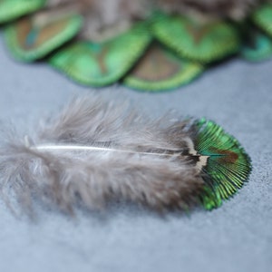 Mini plumes de paon 1 à 5 pouces, 2 à 7 cm, LIVRAISON GRATUITE disponible, couleur naturelle, plumes décoratives en vrac vert irisé, or et marron image 6