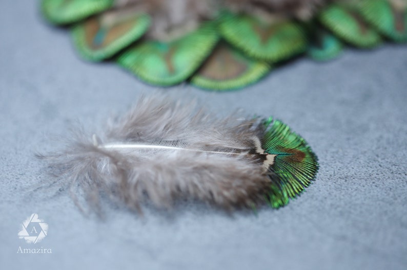 Mini plumes de paon 1 à 5 pouces, 2 à 7 cm, LIVRAISON GRATUITE disponible, couleur naturelle, plumes décoratives en vrac vert irisé, or et marron image 6