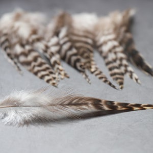7-12 cm 3-5 inches Natural grizzly bulk feathers, cream, black and grey, Hair extension, Loose skinny feathers for crafts & dream catcher zdjęcie 5