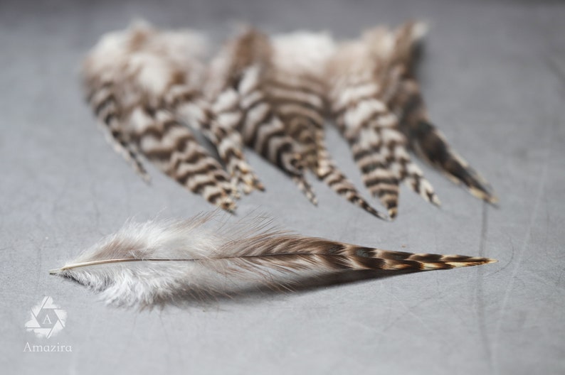 7-12 cm 3-5 inches Natural grizzly bulk feathers, cream, black and grey, Hair extension, Loose skinny feathers for crafts & dream catcher zdjęcie 5