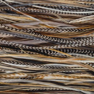 5 Feather Hair Extension DIY Kit, 7-18'' Natural stripped brown grizzly feathers, Hair enhancement additions festival accessory image 9