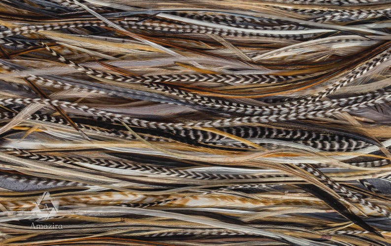 5 Feather Hair Extension DIY Kit, 7-18'' Natural stripped brown grizzly feathers, Hair enhancement additions festival accessory image 9