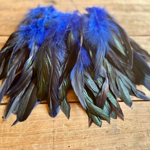 以下が含まれることがあります： 虹色の緑色の光沢のある黒と青の羽根の束。羽根は扇形に配置されており、クラフトや装飾用である可能性が高いです。