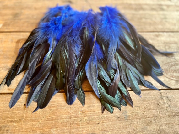 100 DEFECTIVE Blue Rooster feathers, Cheap bulk Grade B feathers, Blue and iridescent green rooster feathers