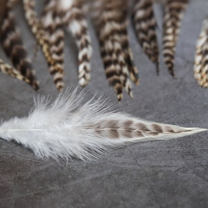 7-12 cm 3-5 inches Natural grizzly bulk feathers, cream, black and grey, Hair extension, Loose skinny feathers for crafts & dream catcher zdjęcie 8