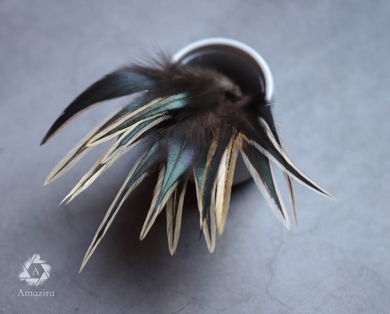 Negro iridiscente Gallo le coque de plumas de cola de 6 "L-8" L 25 
