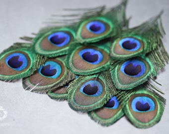 Peacock feathers, 4-5” - 7-10 cm FREE SHIPPING, Natural colorful iridescent, Green and gold Peacock Plumage, hat accessories, dream catchers