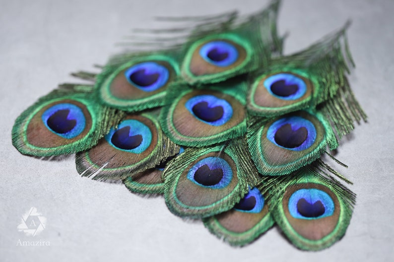 7-10 cm FREE SHIPPING available 4-5\u201d Loose feathers Natural colourful Iridescent Green and gold Peacock Plumage Peacock feathers