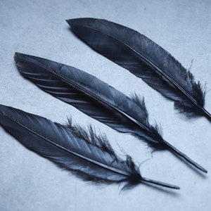 200 PACK DEFECTIVE FEATHERS Gold painted pattern black feathers, 17-20 cm, 6-8 inches, Loose goose smudge feathers. image 8