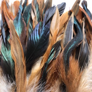 100 DEFECTIVE rooster feathers, Cheap grade B bulk feathers, Brown and Iridescent green rooster feathers