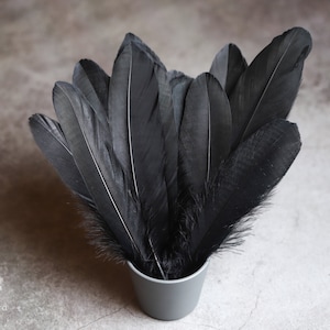 Large black feathers,  FREE SHIPPING available, 6 - 7 inches, black feathers for crafts, room dreamcatcher decor, headpiece, cosplay, smudge