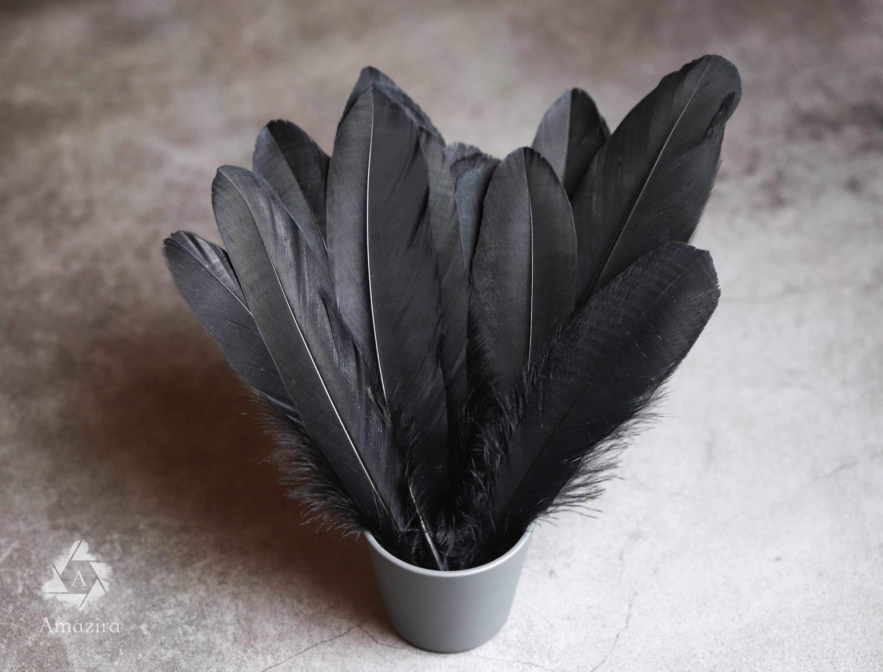 Large black feathers FREE SHIPPING available 6 to 7 inches Etsy