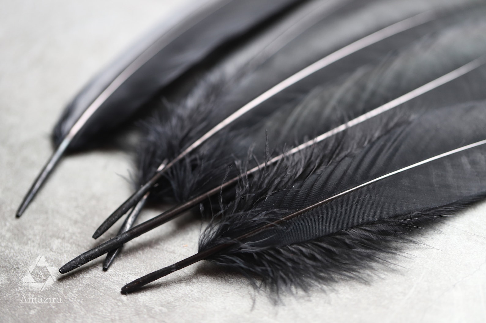 Large black feathers FREE SHIPPING available 6 to 7 inches Etsy