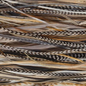 5 Feather Hair Extension DIY Kit, 7-18'' Natural stripped brown grizzly feathers, Hair enhancement additions festival accessory image 5