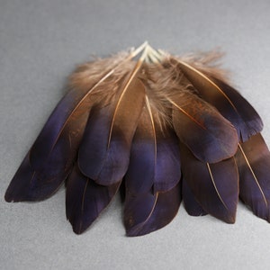 Plumes de faisan irisées bleu violet naturel, livraison gratuite disponible, 5-7 cm, 2-3 pouces, fournitures de bricolage, décoration, boucles d'oreilles image 5