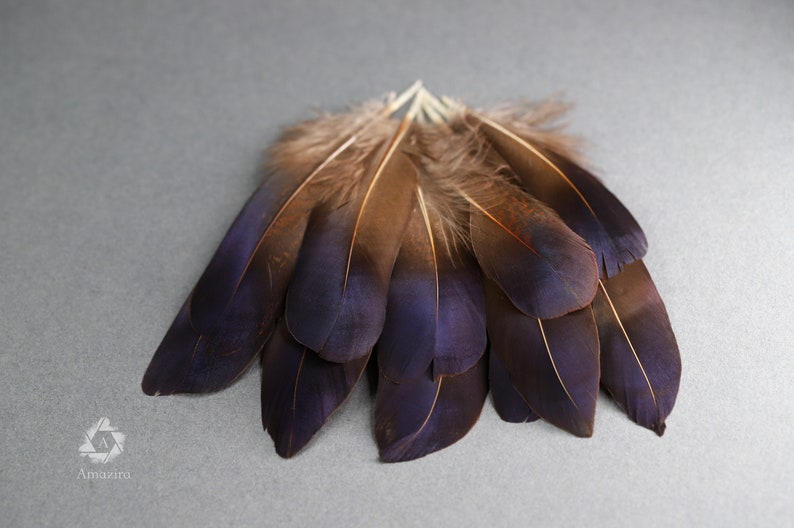 Plumes de faisan irisées bleu violet naturel, livraison gratuite disponible, 5-7 cm, 2-3 pouces, fournitures de bricolage, décoration, boucles d'oreilles image 5