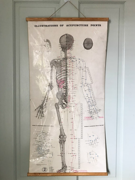 Acupuncture Charts For Sale