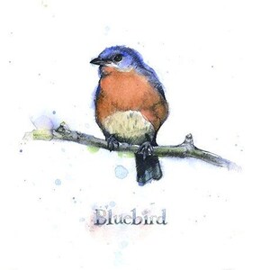 Bluebird signed giclee print