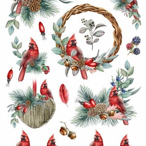 RED CARDINAL- Rice Paper for Decoupage Size A4 - Christmas Collection