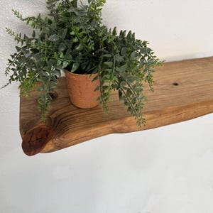 May include: A natural edge wooden shelf with a visible wood grain and a prominent knot, mounted on a white wall. A small, textured, light brown pot containing a lush, green, trailing artificial fern plant sits on the left side of the shelf.