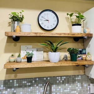 May include: Two horizontal wooden shelves mounted with black metal pipe brackets. The top shelf holds a metal tin with a green plant, a white jar, and a round black wall clock. The bottom shelf features various small potted plants and owl figurines.