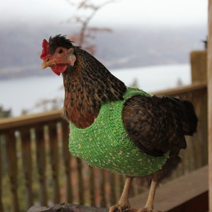 Hand knit chicken sweaters. Message us to pick a colour.