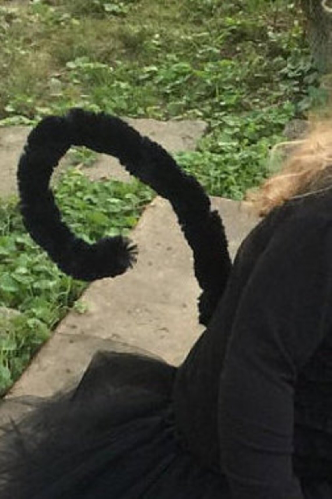 Animal Tail Costume Fully Formable Tail to Fit Any Animal Etsy