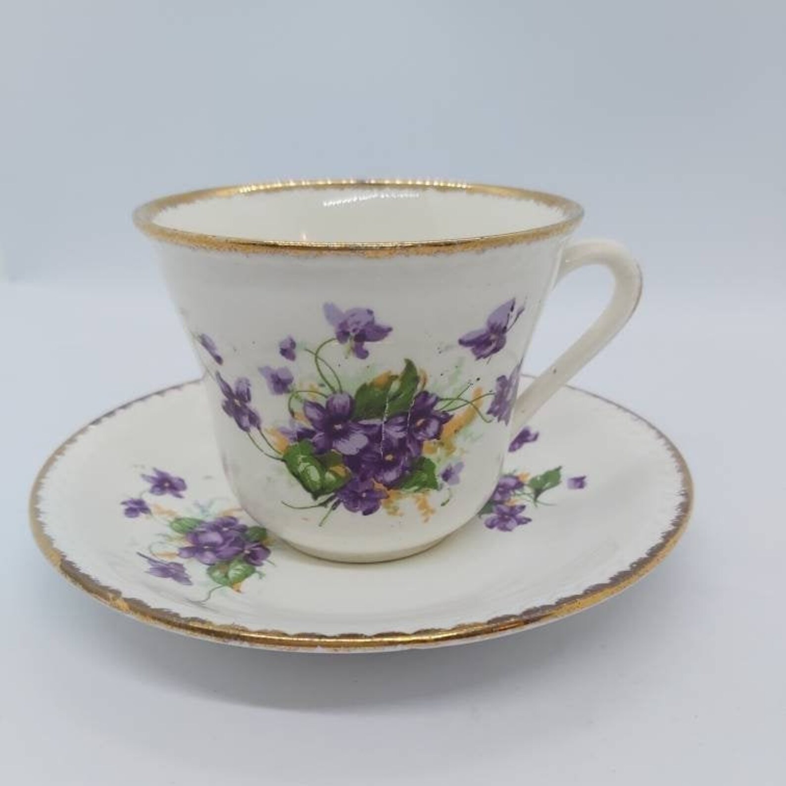 Purple Violets Teacup Pretty Vintage Tea Cup Saucer Collectible Gift