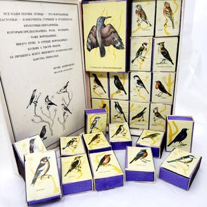 May include: A vintage educational game featuring a set of colorful matchbox-sized cards with illustrations of different birds. The cards are arranged in a box with a purple interior and a white exterior. The box lid features text about the birds and a larger illustration of a bird.