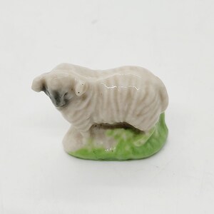 Sheep, ram.
