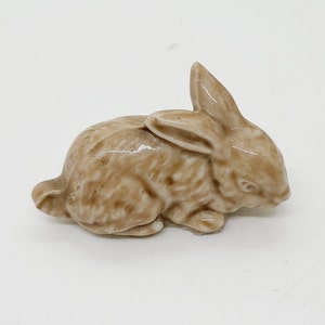 Bunny rabbit.
