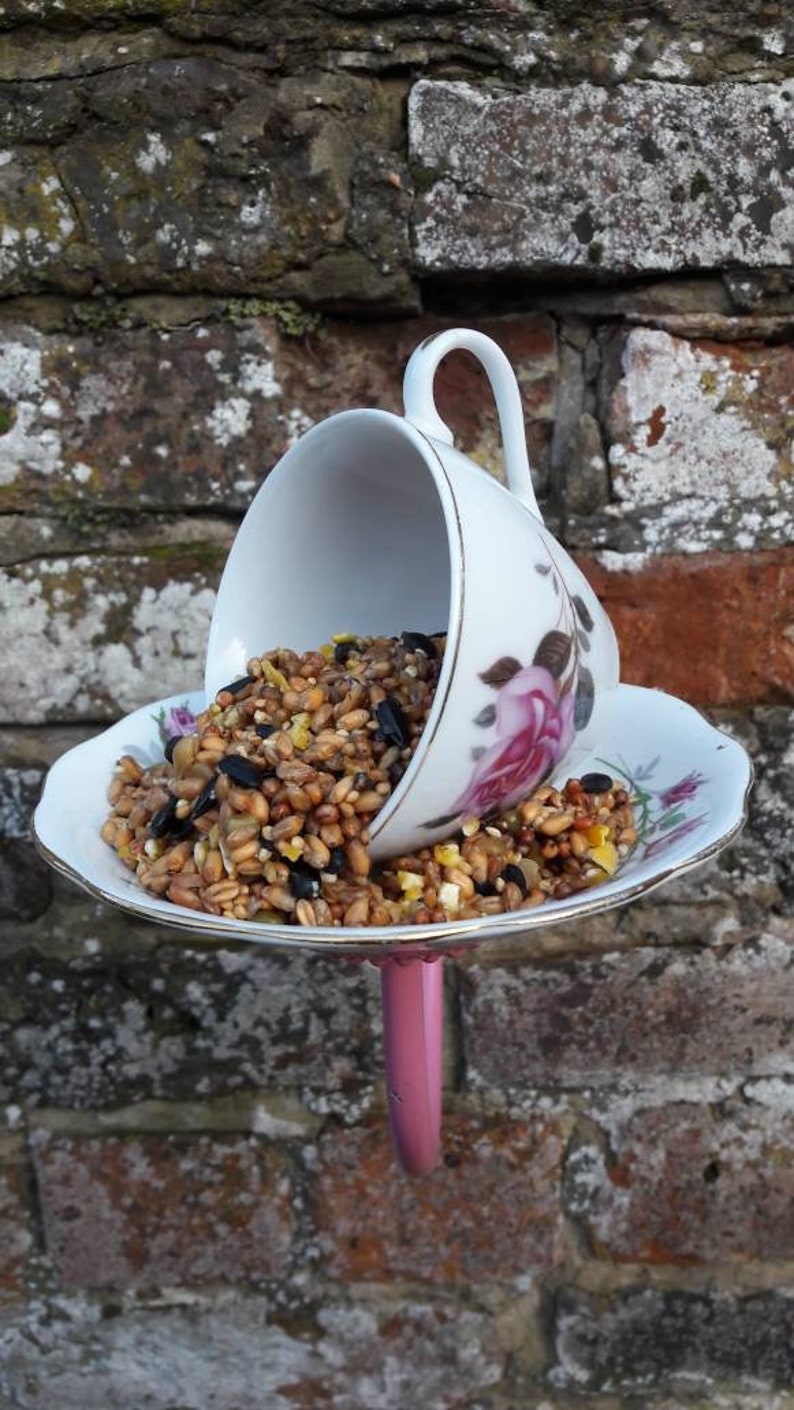 Teacup Bird Feeder Wall Mounted Bird Feeder Yard Ornament Etsy