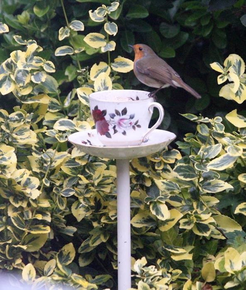 Teacup Bird Feeder Teapot Bird Feeder Choose Nan or Grandma Etsy UK