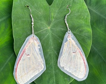 Luna Moth Earrings