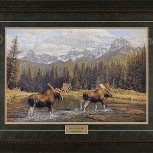 May include: A painting of two moose standing in a shallow river with a mountain range in the background. The painting is titled "Shallow Waters" and signed by the artist, Michael Coleman.