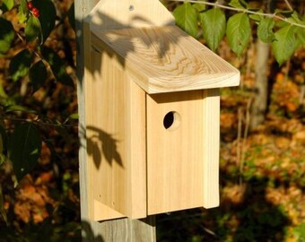 Wren, Titmouse and Nuthatch Joy Box Birdhouse