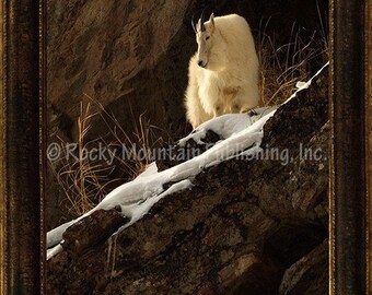 A Warm Winter View - Mitchell Mansanarez Wildlife Art Giclee
