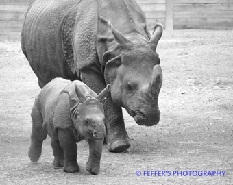 Mommy Rhino and Baby  Digital photography Animal decor fine art print