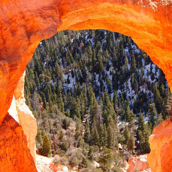 Bryce Canyon Utah Digital  Photography - 8x10 Fine Art Print - Southwestern Home Decor